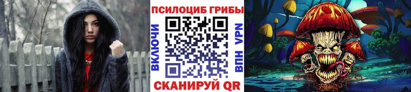 гидра как зайти  Верхотурье  Галлюциногенные грибы Psilocybe 